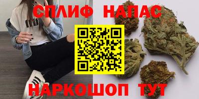 гашик Малгобек
