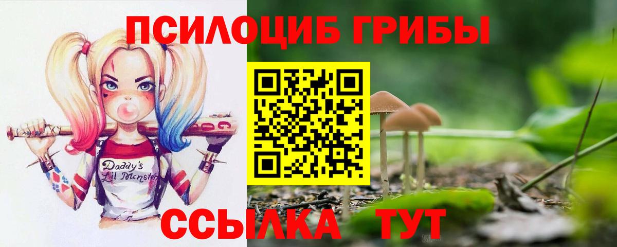 Галлюциногенные грибы GOLDEN TEACHER Россошь